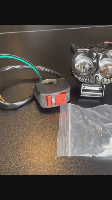 Buho LED light